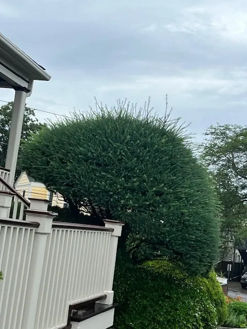 Local outdoor landscaping in Lynn, MA by Stevens Landscaping and Tree Service