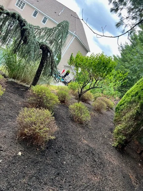 Trusted landscape design in Lynn, MA by Stevens Landscaping and Tree Service