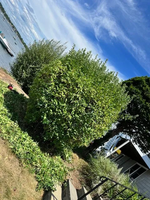 Trusted garden landscaping in Lynn, MA by Stevens Landscaping and Tree Service