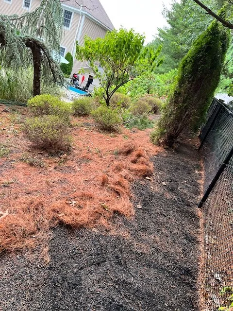 Reliable lawn care service experts serving Lynn, MA - Stevens Landscaping and Tree Service