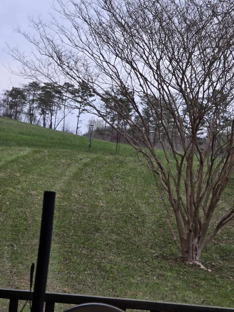 Custom lawn care service for homes across Knoxville, TN - Stevens Landscaping