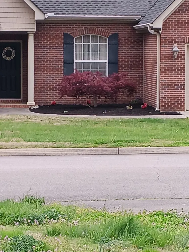 Top-rated garden landscaping in Knoxville, TN - Stevens Landscaping