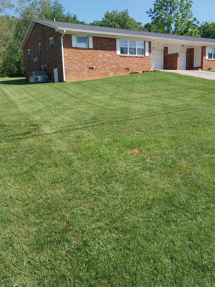 Reliable landscaping services in Knoxville, TN by Stevens Landscaping