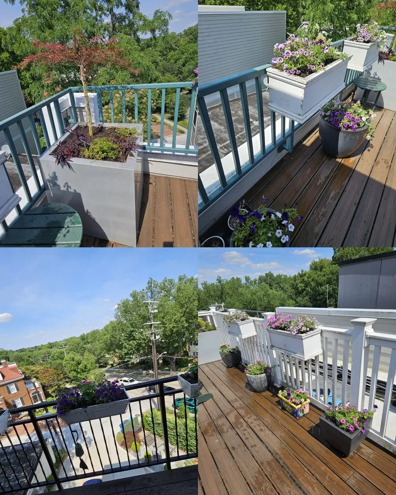 Affordable landscape installation for outdoor upgrades across Arlington, VA - Steven's Landscaping Pro Service