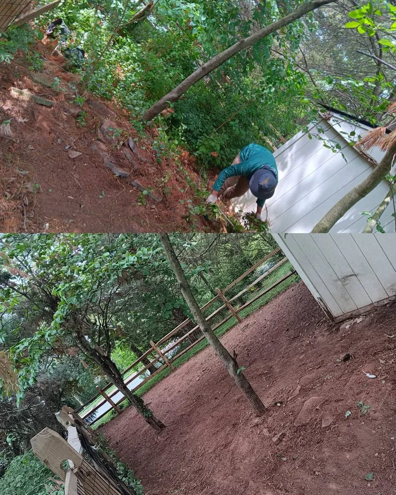 Top-rated outdoor landscaping in Arlington, VA by Steven's Landscaping Pro Service