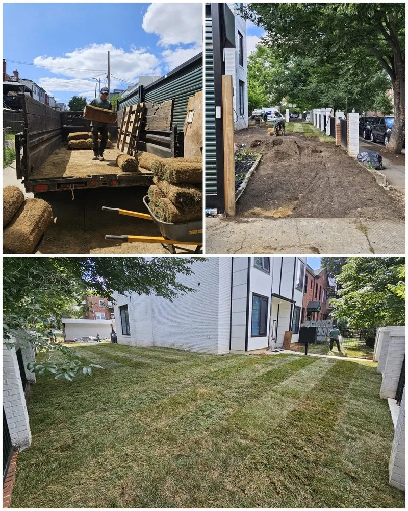 Top-rated lawn care service in Arlington, VA by Steven's Landscaping Pro Service