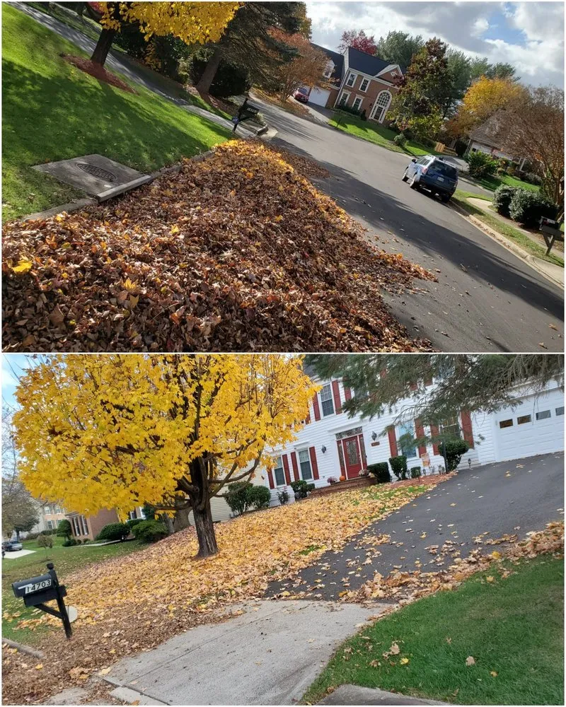 Local lawn mowing service near you across Arlington, VA - Steven's Landscaping Pro Service