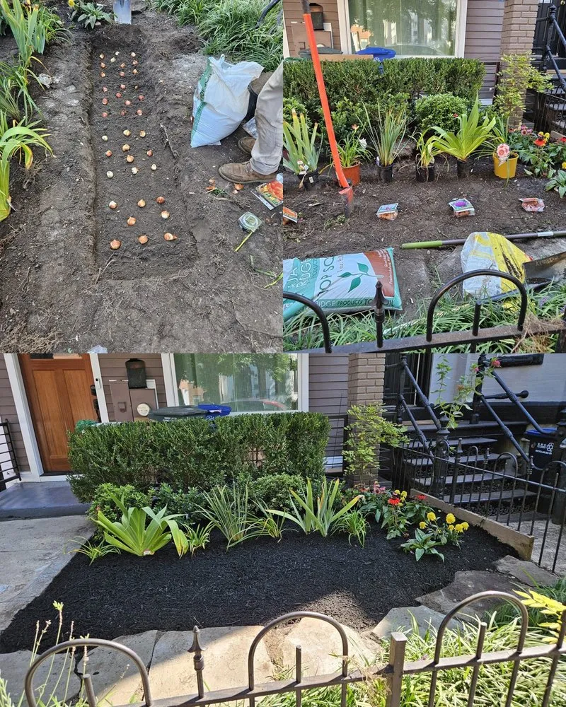 Top-rated landscape installation in Arlington, VA - Steven's Landscaping Pro Service