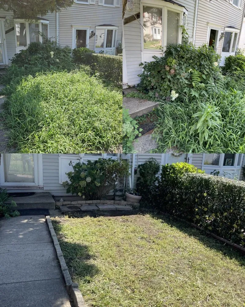 Professional landscaping services experts serving Arlington, VA - Steven's Landscaping Pro Service