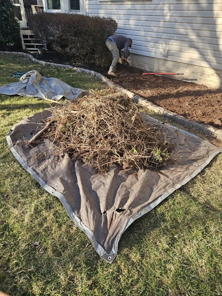 Trusted residential landscaping in Arlington, VA by Steven's Landscaping Pro Service