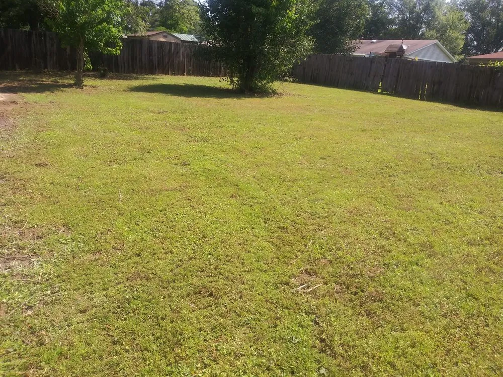 Expert landscaping services in Texarkana, AR by Steven's Lawn Care