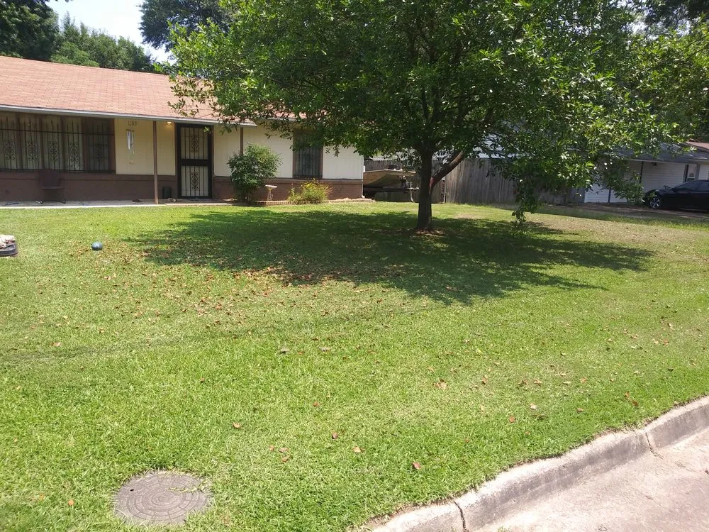 Custom yard cleanup service in Texarkana, AR by Steven's Lawn Care