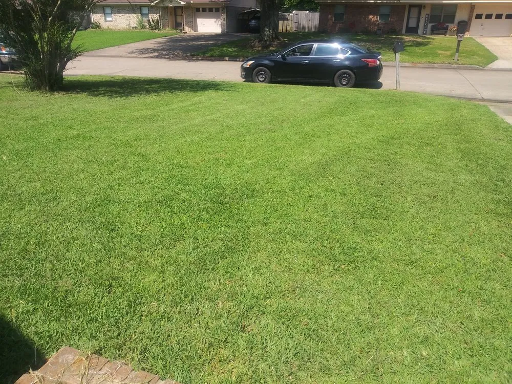 Top-rated lawn care service in Texarkana, AR - Steven's Lawn Care
