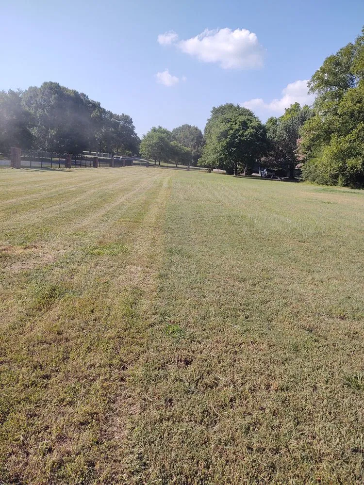 Local outdoor landscaping in Little Rock, AR - Steven's Lawn Maintenance