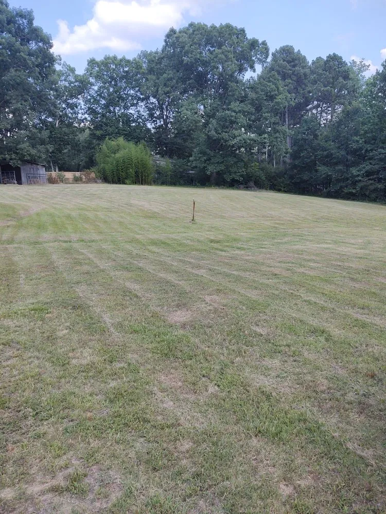 Professional landscape design for homes across Little Rock, AR - Steven's Lawn Maintenance