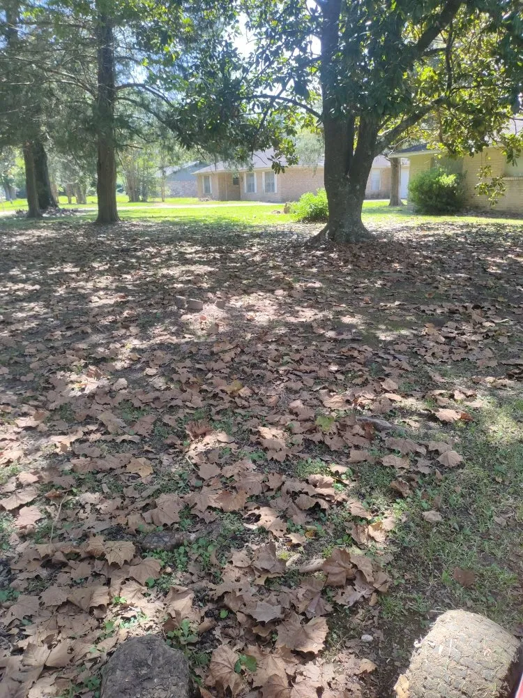 Top-rated lawn mowing service in Daisetta, TX by Stevens Lawn Service