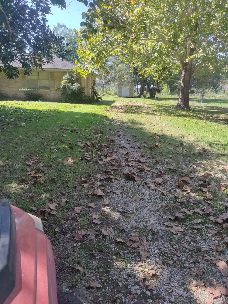 Affordable yard cleanup service in Daisetta, TX - Stevens Lawn Service