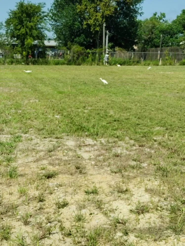 Local yard cleanup service in Daisetta, TX - Stevens Lawn Service