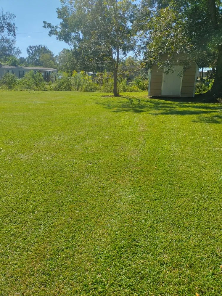 Trusted lawn mowing service experts serving Daisetta, TX - Stevens Lawn Service