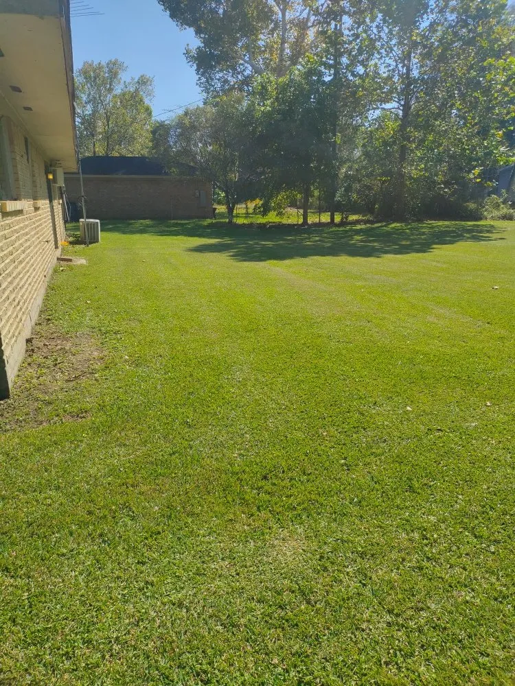 Local outdoor landscaping in Daisetta, TX by Stevens Lawn Service