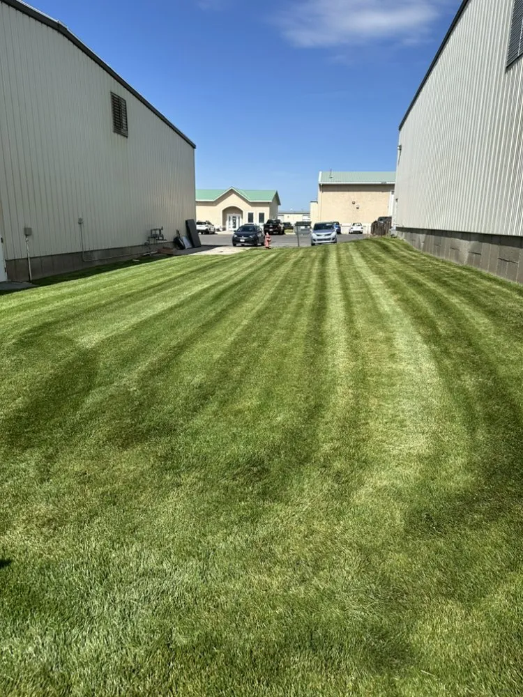 Affordable lawn care service in Smithfield, UT by Stevens Mows Best Yard Care