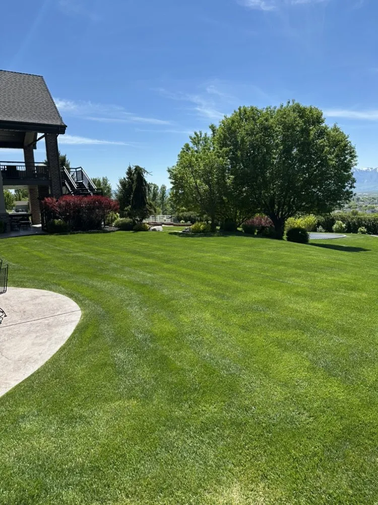 Custom lawn care service near you across Smithfield, UT - Stevens Mows Best Yard Care