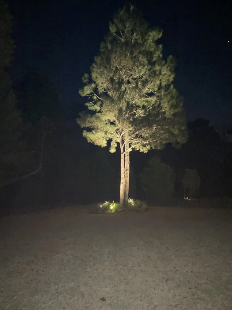 Affordable landscape design for residential properties across Conway, SC - Stevens Outdoor Service