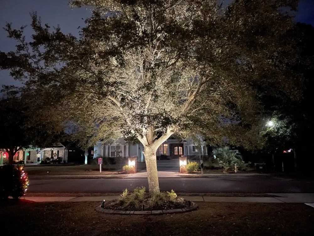 Trusted landscape design in Conway, SC - Stevens Outdoor Service