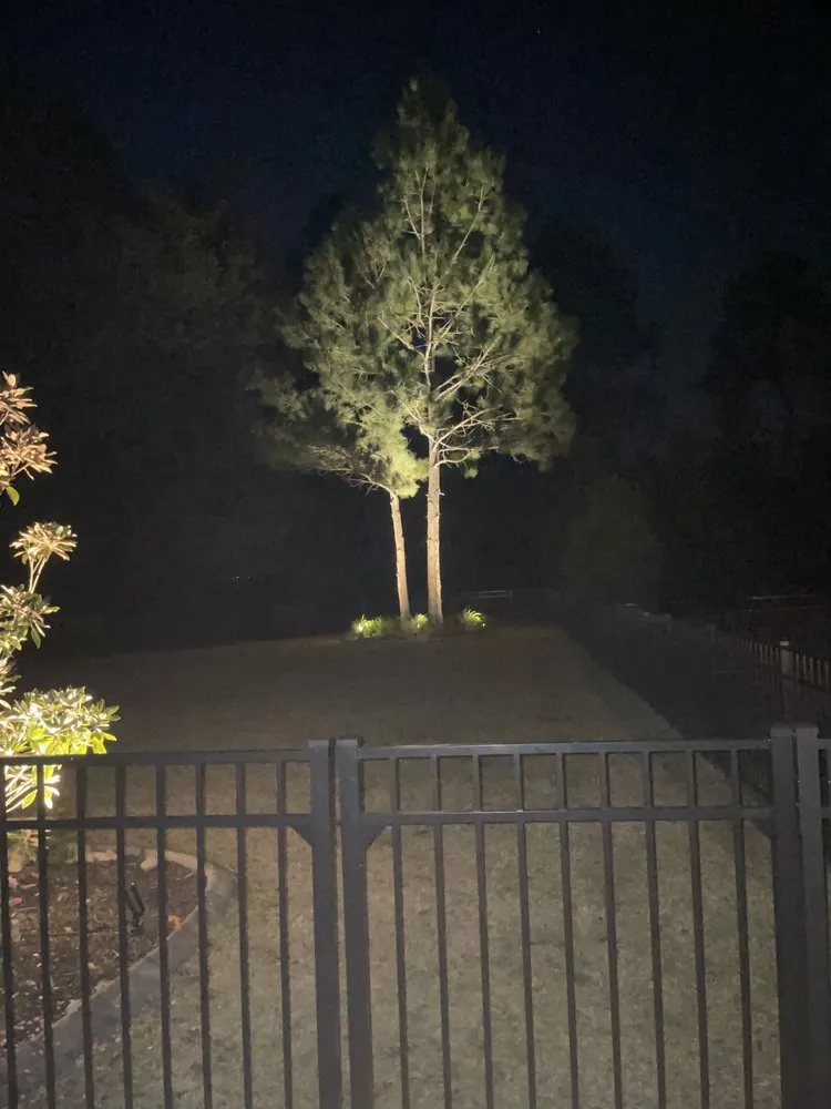 Top-rated yard maintenance in Conway, SC by Stevens Outdoor Service