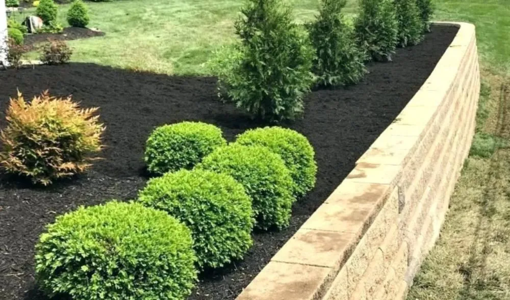 Reliable garden landscaping for year-round maintenance in Phenix City, AL by Stevens Southern Solutions