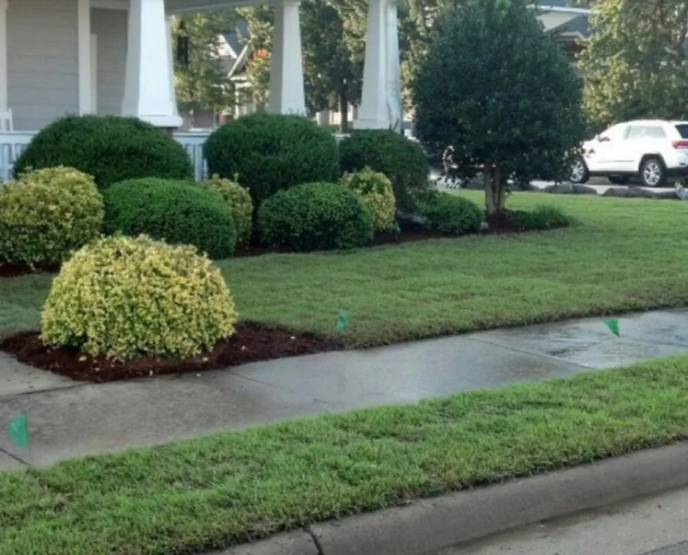 Custom lawn care service in Phenix City, AL - Stevens Southern Solutions