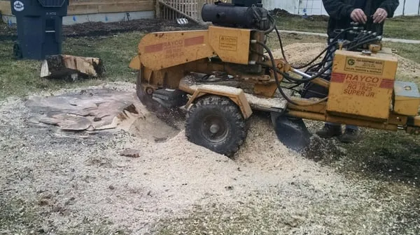 Stevens Stump Removal