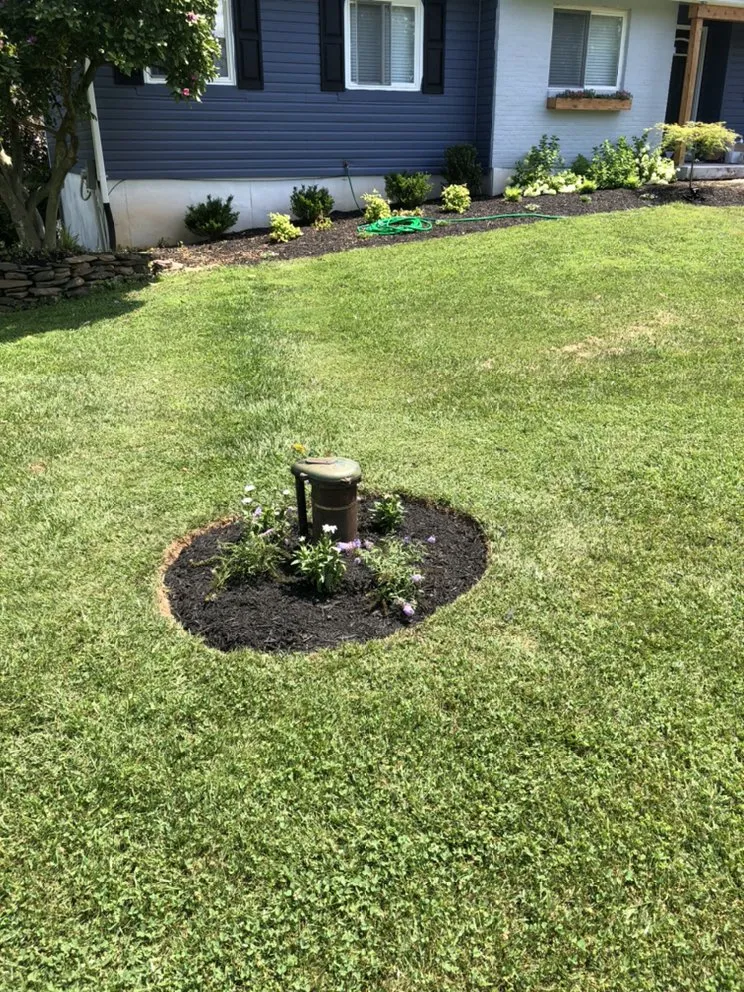 Reliable landscape installation for outdoor upgrades across Middletown, MD - Stevens Tree Care