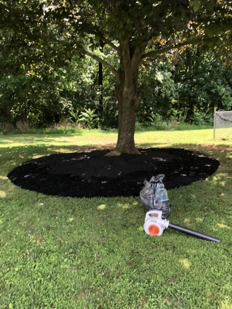 Top-rated lawn mowing service in Middletown, MD - Stevens Tree Care