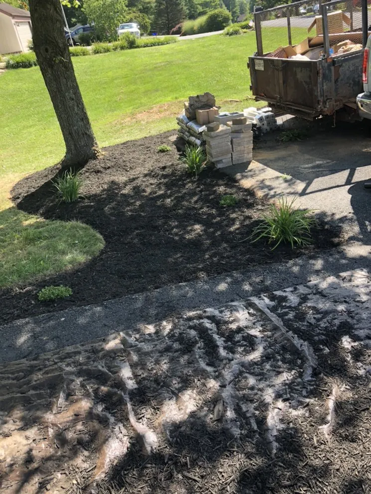 Expert yard cleanup service near you across Middletown, MD - Stevens Tree Care