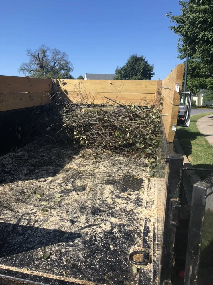 Custom yard cleanup service experts serving Middletown, MD - Stevens Tree Care