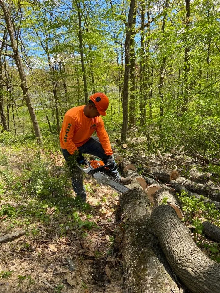 Local residential landscaping experts serving Danbury, CT - Steven’s Tree Service & Landscaping