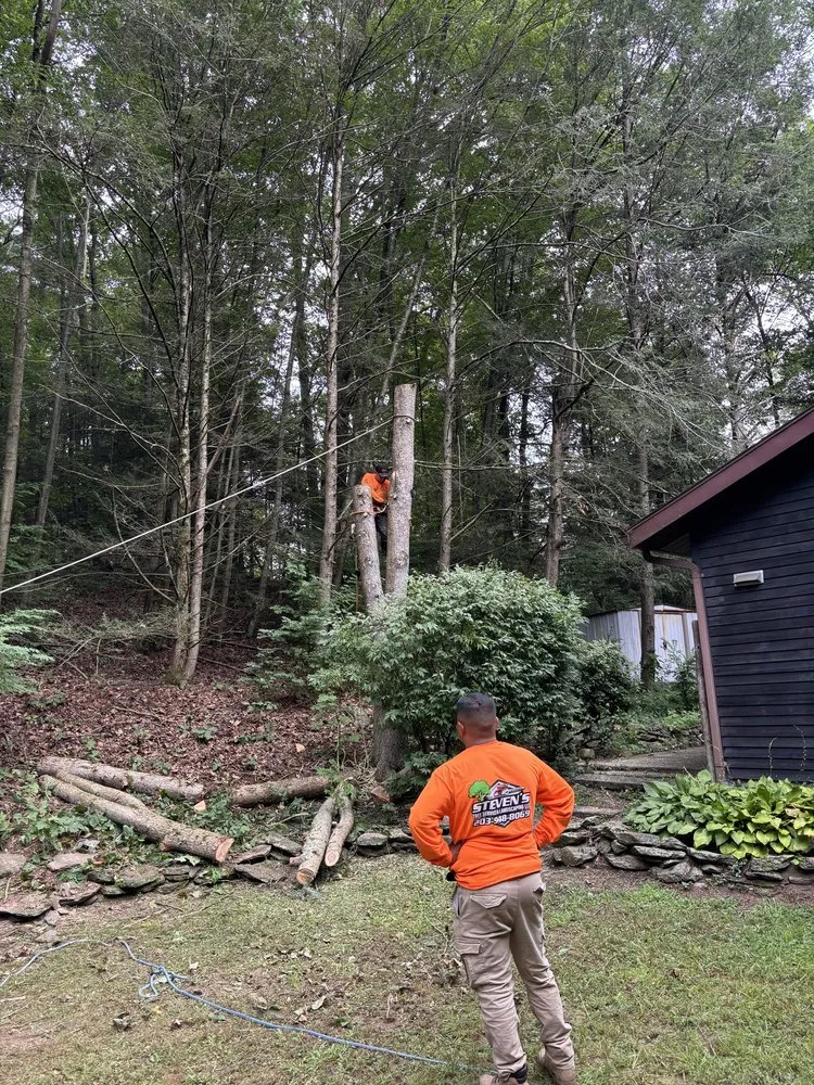 Top-rated yard maintenance for outdoor upgrades in Danbury, CT by Steven’s Tree Service & Landscaping