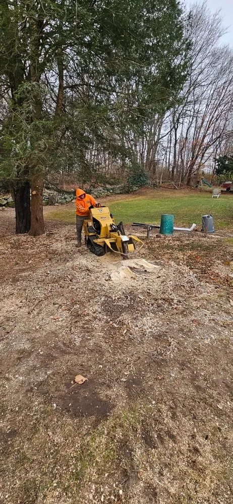 Reliable landscape installation near you in Danbury, CT by Steven’s Tree Service & Landscaping