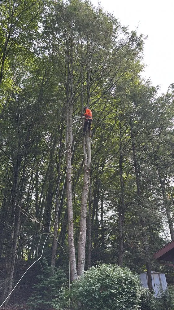 Custom landscape design for beautiful yards across Danbury, CT - Steven’s Tree Service & Landscaping
