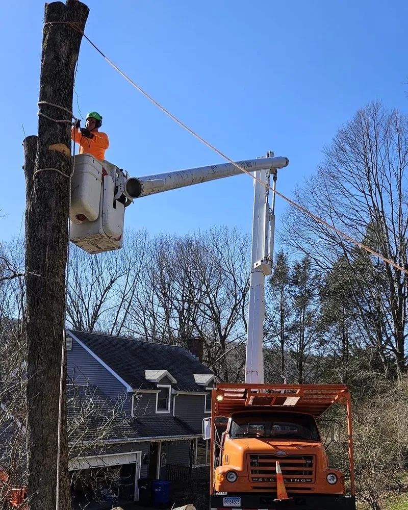 Custom yard maintenance in Danbury, CT - Steven’s Tree Service & Landscaping