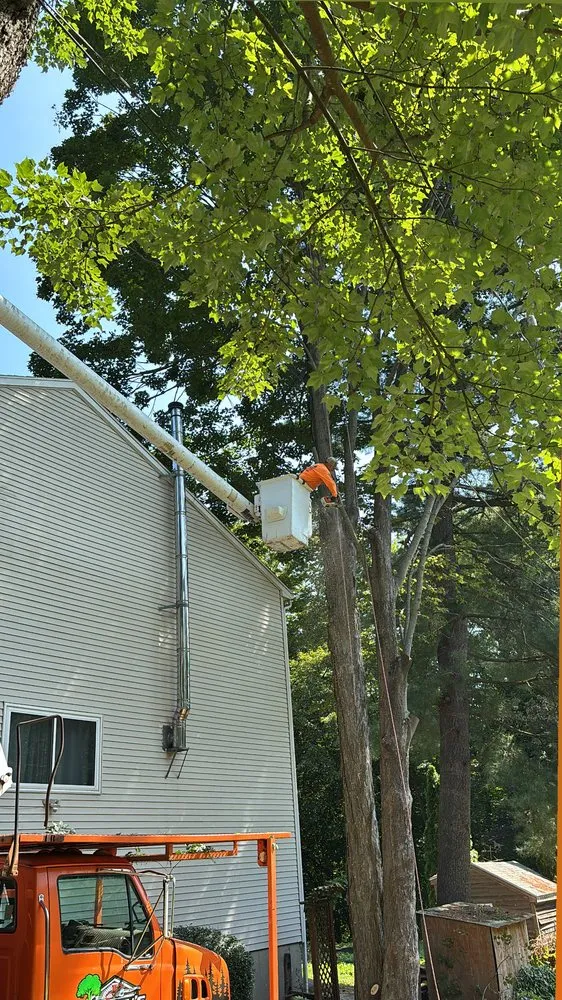 Reliable lawn mowing service for beautiful yards in Danbury, CT by Steven’s Tree Service & Landscaping