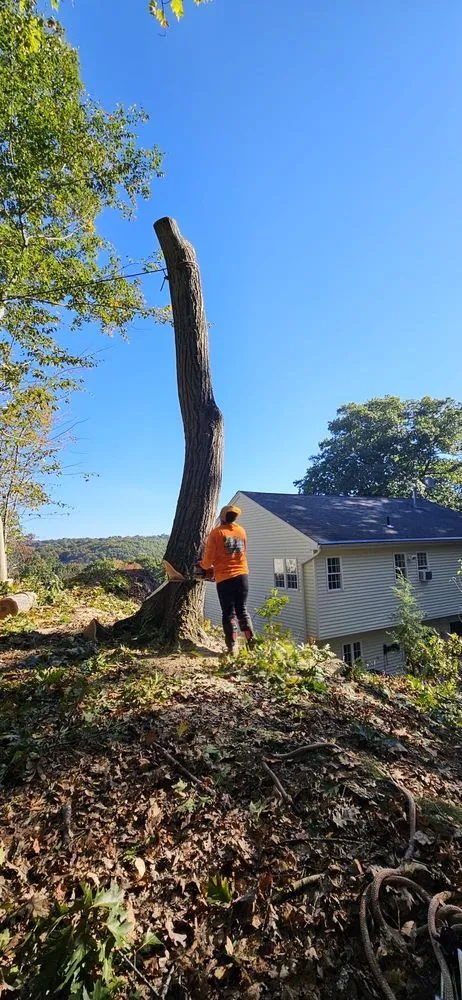 Affordable lawn mowing service in Danbury, CT by Steven’s Tree Service & Landscaping