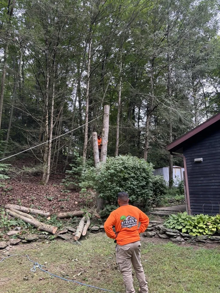 Trusted garden landscaping in Danbury, CT - Steven’s Tree Service & Landscaping