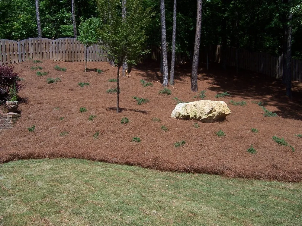 Expert garden landscaping in Maylene, AL by Steven's Wack-n-Sack