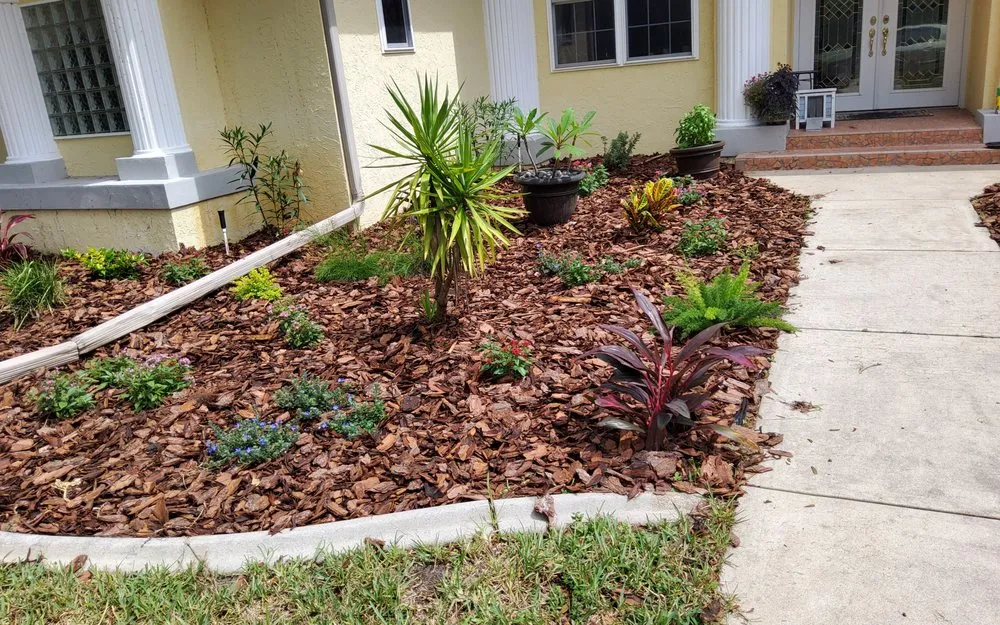 Local yard cleanup service for residential properties across Ocala, FL - Stevenson Landscape