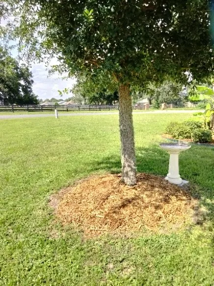 Trusted outdoor landscaping in Ocala, FL by Stevenson Landscape