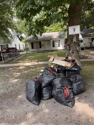 Stevenson Lawn & Hauling Logo