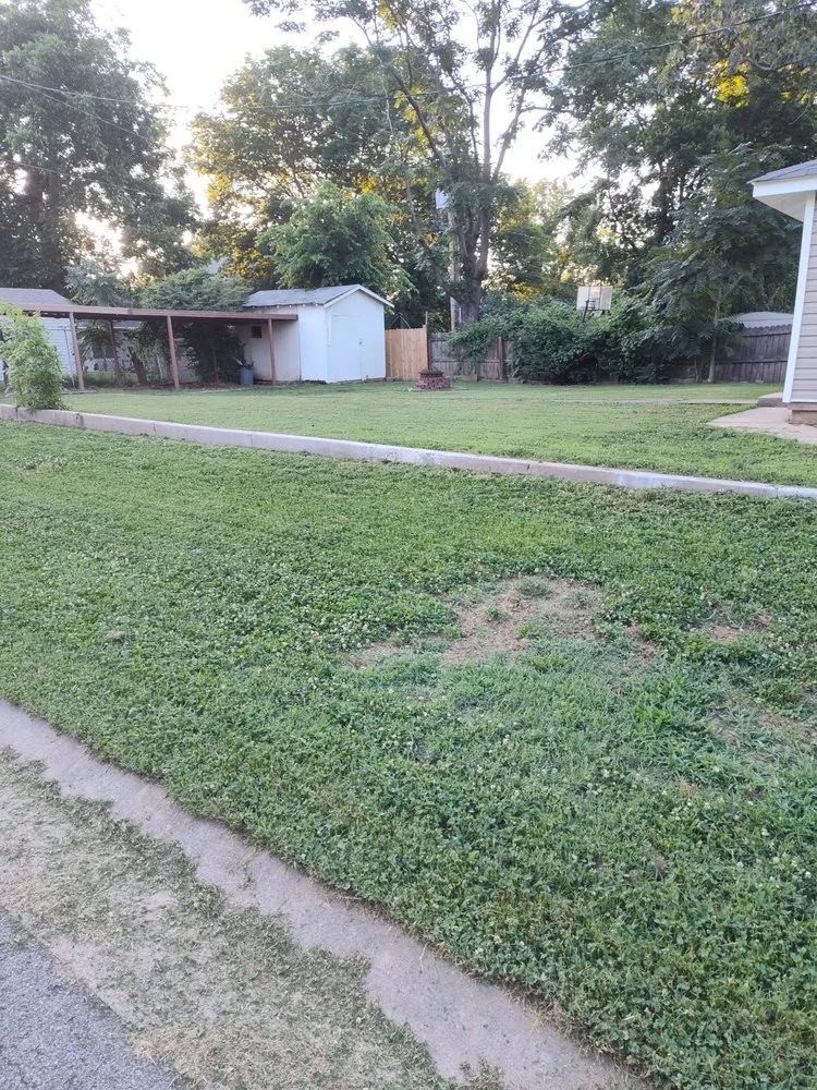 Top-rated yard maintenance in Van Buren, AR by Stevenson's Adventure