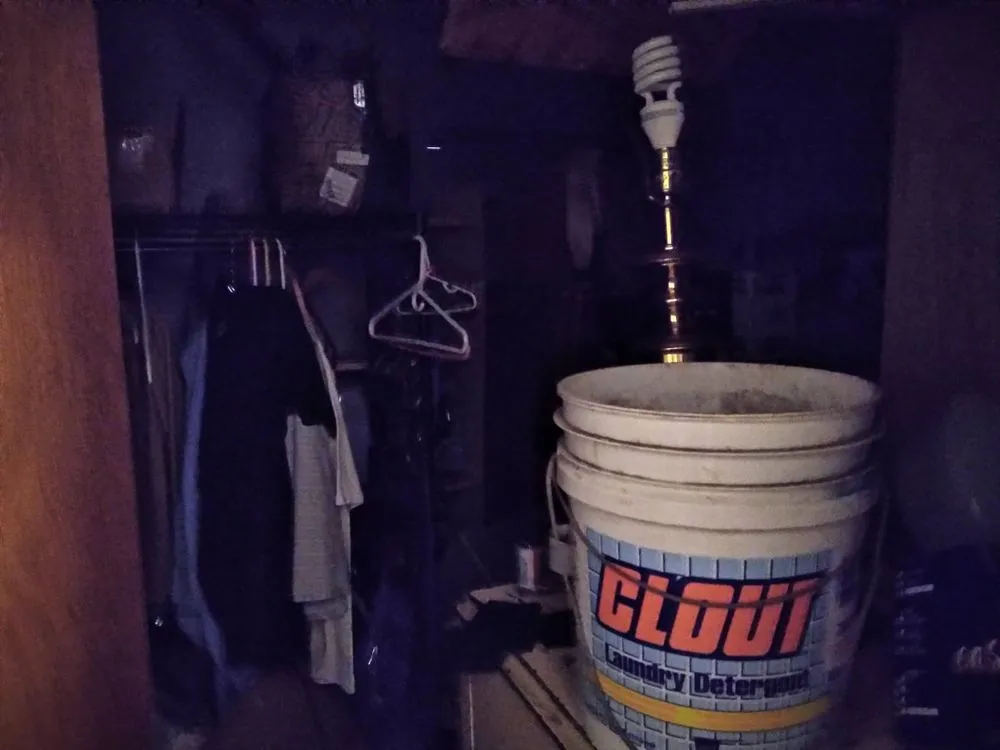 Custom residential landscaping in Redding, CA by Stevensons Construction